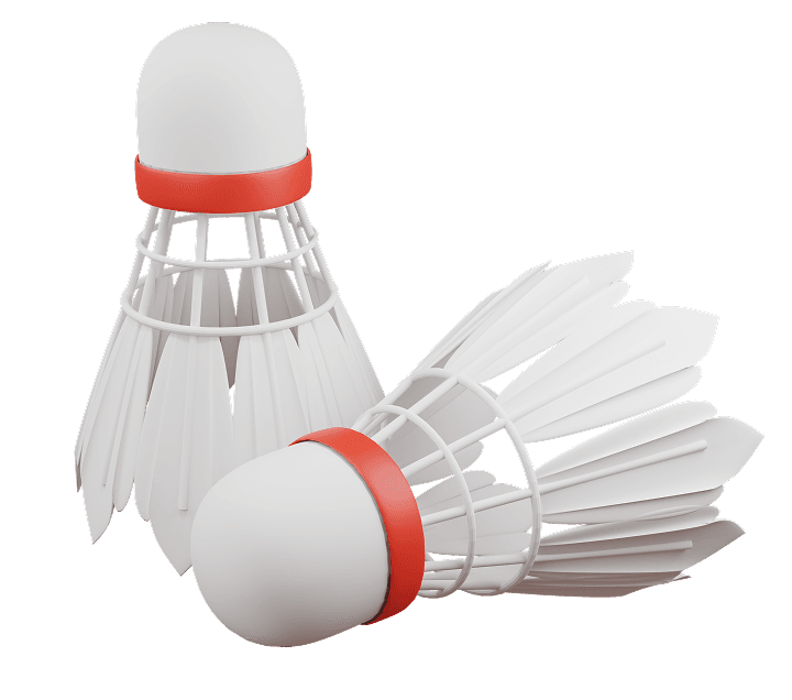 Badminton program illustration