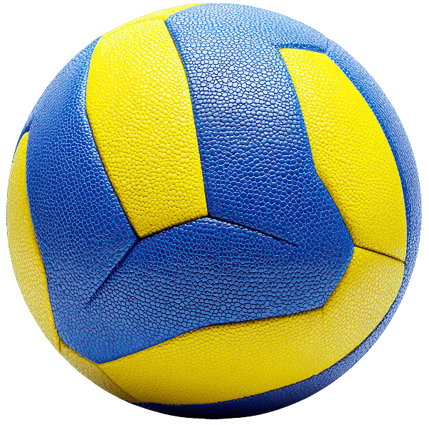 Volleyball program illustration
